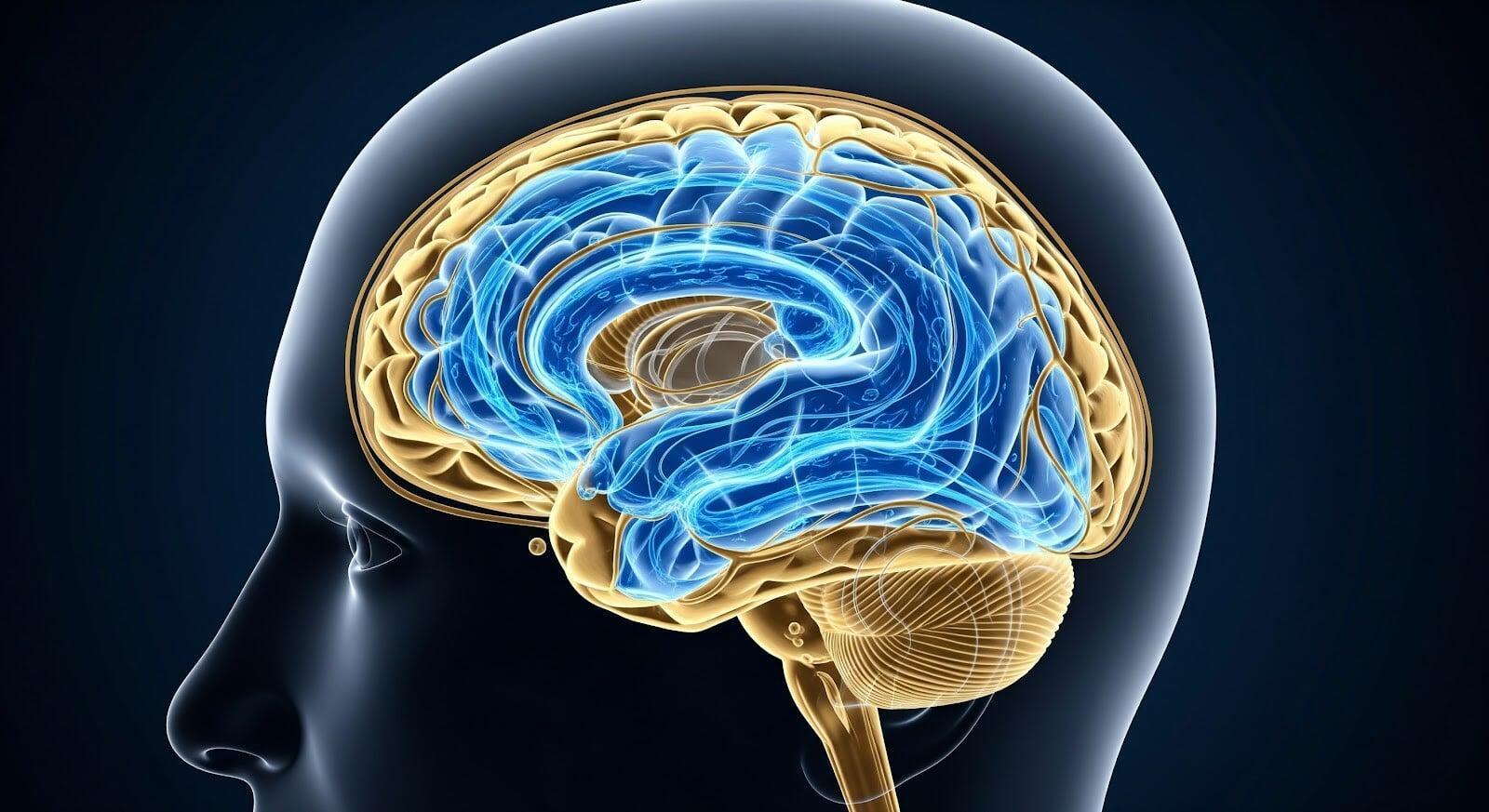 Clinical Review | Normal Pressure Hydrocephalus | 10.5281.cjn.16332473